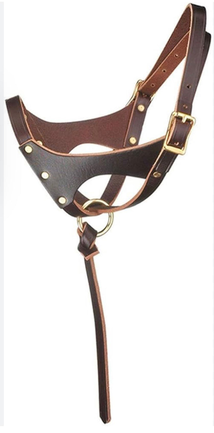 Perri’s® Premium Leather Foal Halter Havana