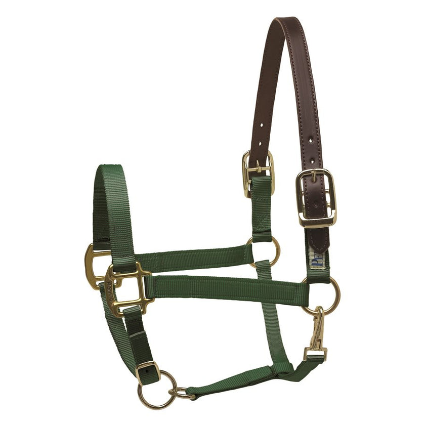Perri’s® Premium Nylon Safety Halter Hunter Green