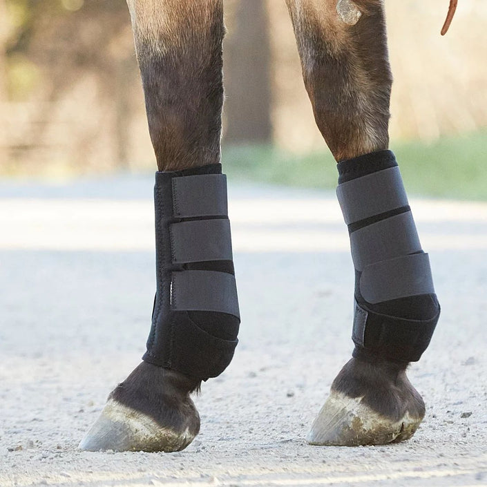 Professional's Choice SMBII Sports Medicine Boots Back Detail on horse