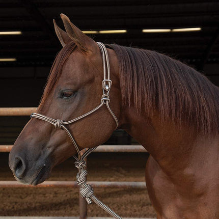 Professionals Choice Easy On Rope Halter Chocolate