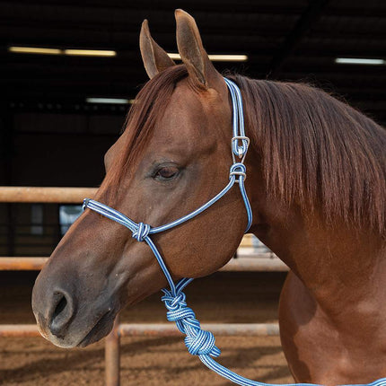 Professionals Choice Easy On Rope Halter Turquoise