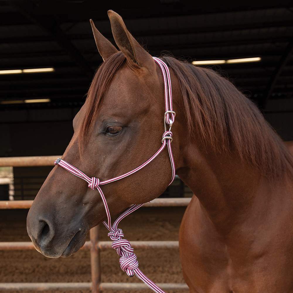 Professionals Choice Easy-On Rope Halter with Lead Wine