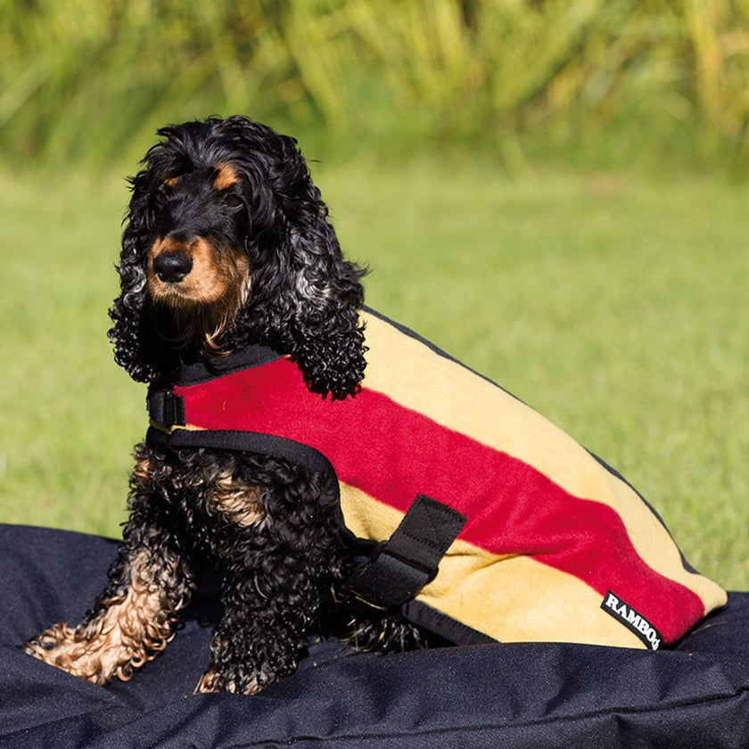 Horseware® Rambo Deluxe Dog Fleece Whitney Gold on model dog