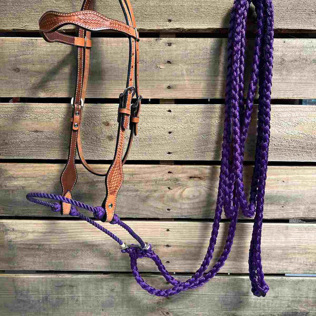 Rodeo Drive - Light Oil Basketweave Purple Loping Hackamore 