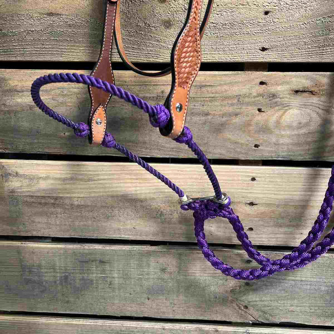 Rodeo Drive - Light Oil Basketweave Purple Loping Hackamore close up view