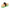 Roma® Brights Body Brush in lime color with black nylon handle