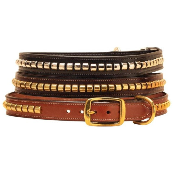 SIT Brass Clincher Dog Collar with brass colored studs and buckle on a white background