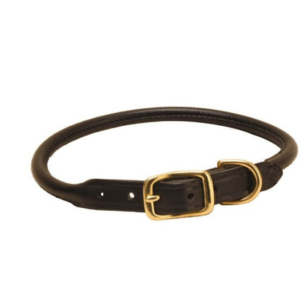 SIT Rolled Leather Dog Collar with a gold colored buckle on a white background