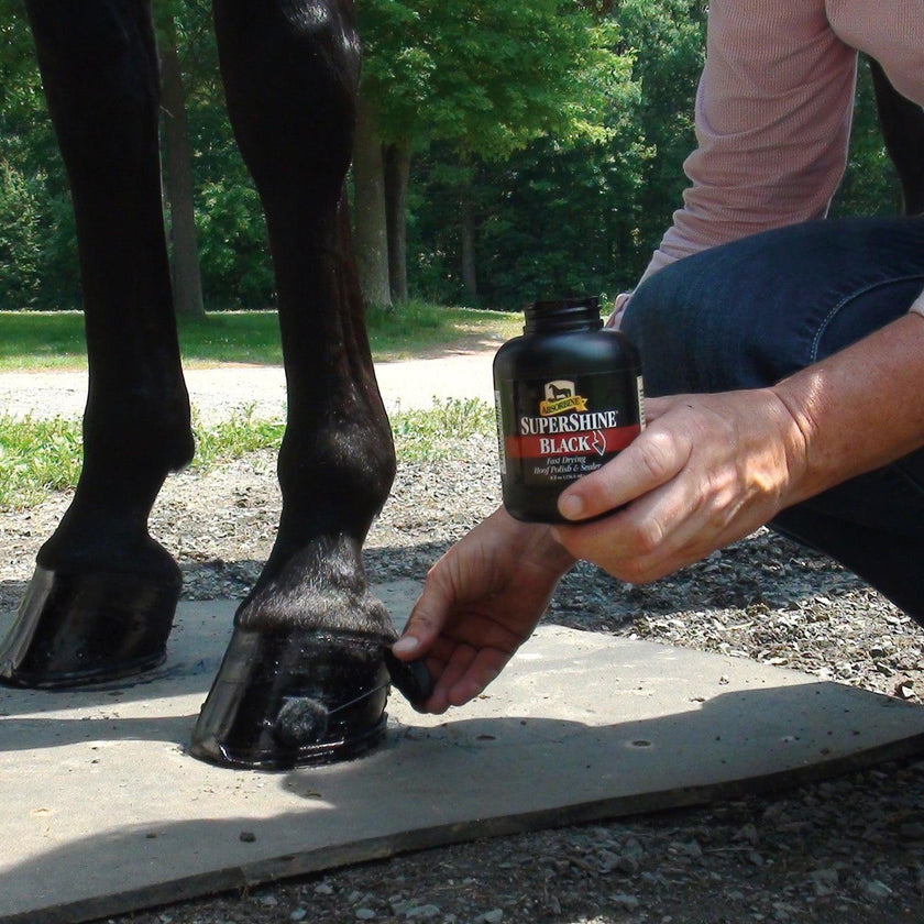 Black Supershine® Hoof Polish And Sealer with person applying to hoof with brush.