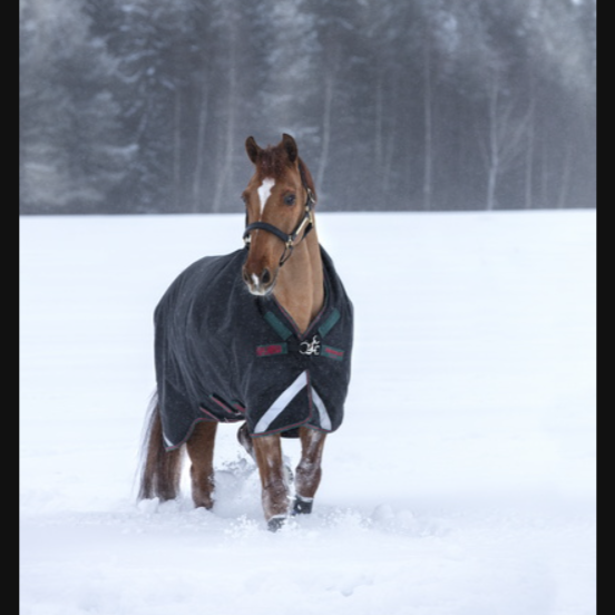 Rambo® Original T/O Med w/ Leg Arches 200g