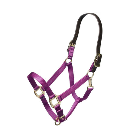 Shires Nylon Halter With Leather Head Strap Purple