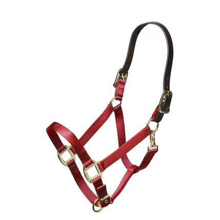 Shires Nylon Halter With Leather Head Strap Red