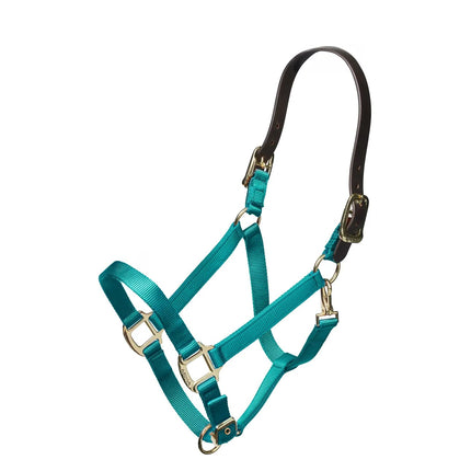 Shires Nylon Halter With Leather Head Strap Teal