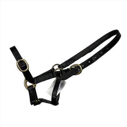 Shires Halter with buckle on nose for Foal