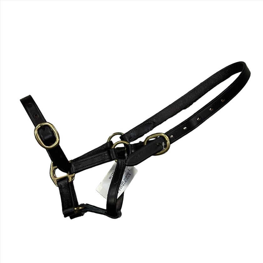 Shires Halter with buckle on nose for Foal