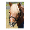 Shires Mini Topaz Halter