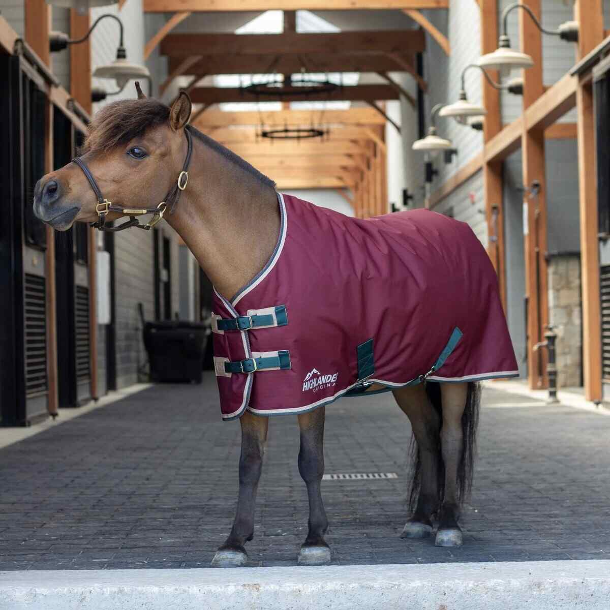 Shires Tempest Original 200 Mini Turnout Blanket in maroon