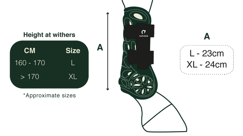 Gatusos  front boot size guide 
