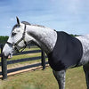 Gatsby® StretchX® Shoulder Guard view on horse