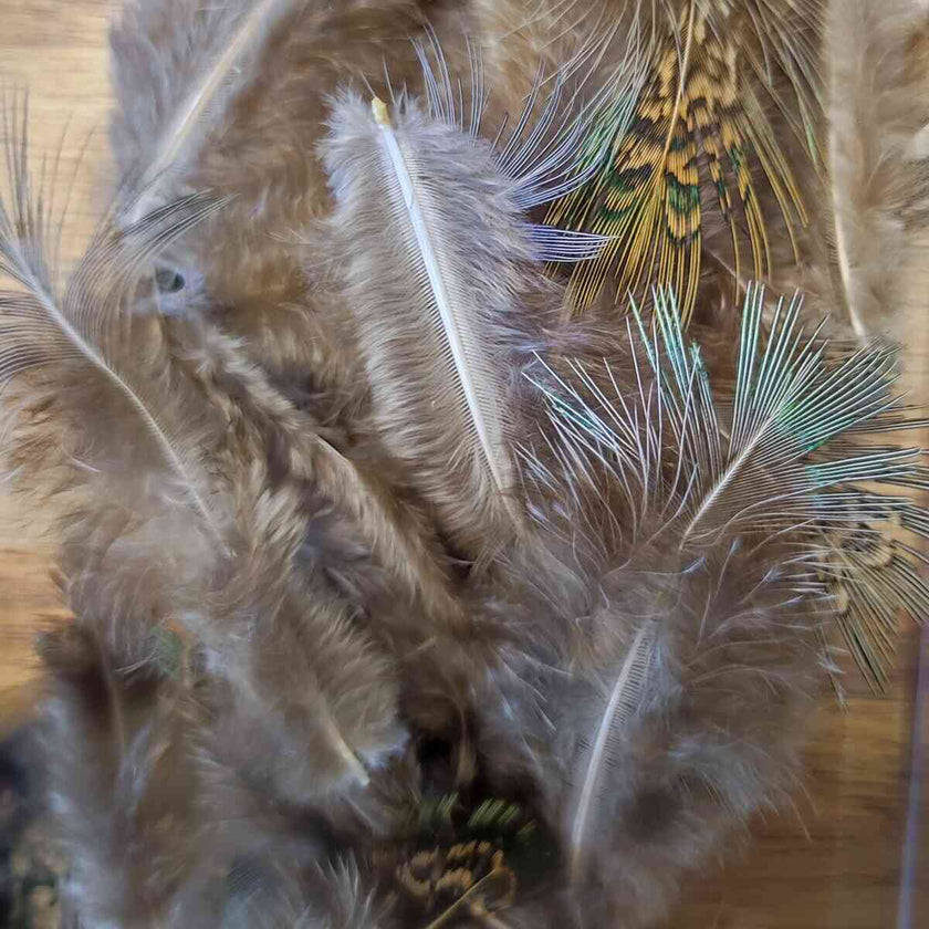 Styled Natural feathers assorted