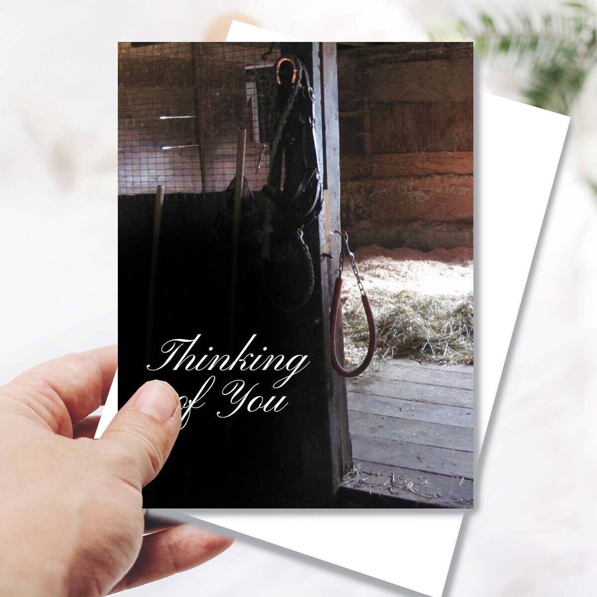 Hand holding a Sympathy Greeting Card - Thinking of You with 'Thinking of You' text and a horse in a stable background