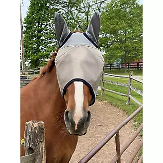 Defender Fly Mask with Ears and Reflective Trim