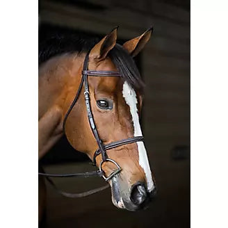Gatsby® Fancy Stitched Raised English Bridle on model horse