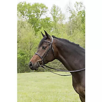 Gatsby® Fancy Stitched Raised English Bridle