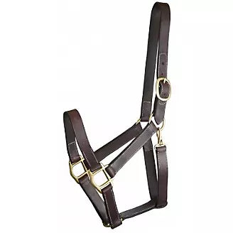 Gatsby® Track Style Turnout Halter with Snap