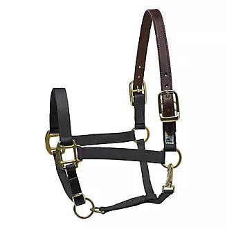 Perri’s® Premium Nylon Safety Halter