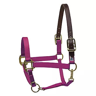 Perri’s® Premium Nylon Safety Halter