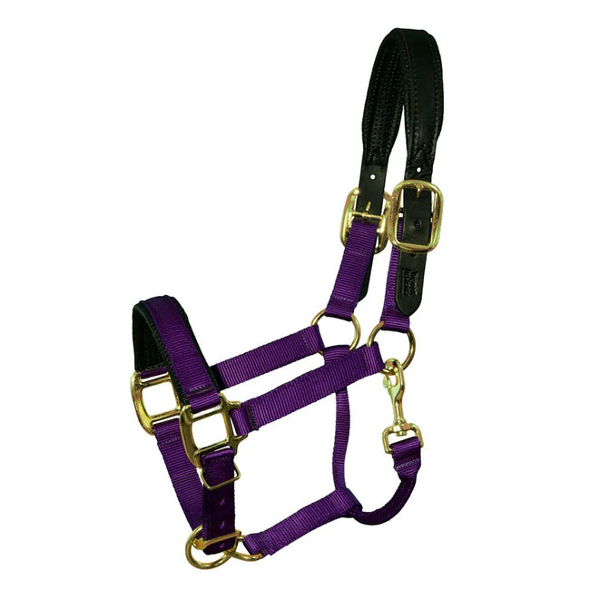 Nylon Padded Breakaway Halter Mini in purple