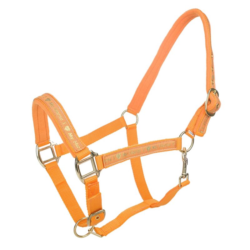 horse halter