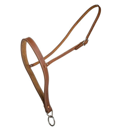 Tabelo_Noseband Harness