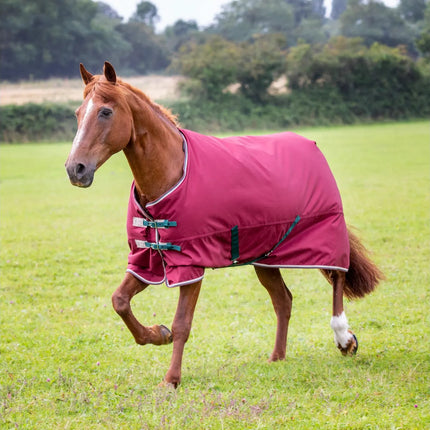 Shires Tempest Original 200 Turnout Blanket Maroon