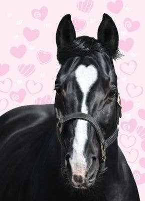 Thank You Card - Horse with Heart - Black horse with a white blaze on a pink background with hearts