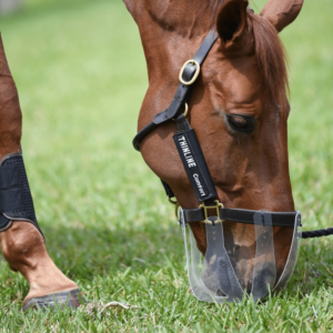 ThinLine Flexible Filly Grazing Muzzle