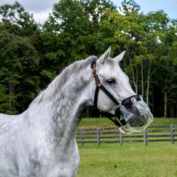 Thinline Muzzle on a model horse