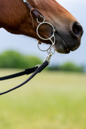 ThinLine Braided Comfort Grip Trail Reins