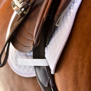 ThinLine English Hunter Jumper Girth view on a tacked up horse