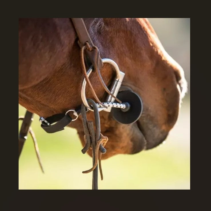 ThinLine Bridle Busy Buddy 