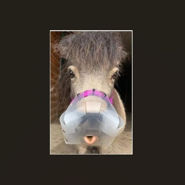 Thinline Muzzle showing hole size for grazing restriction 