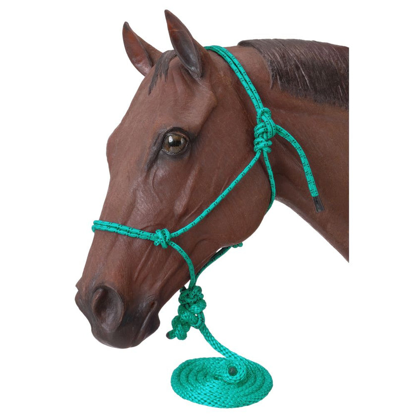 Tough1® Poly Rope Halter with Lead Turquoise