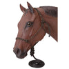 Tough1® Poly Rope Halter with Lead Black