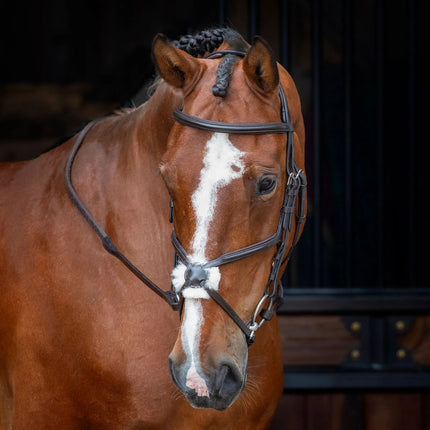 Shires Velociti Figure 8 Bridle Havana