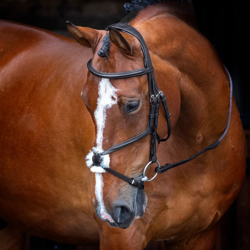 Shires Velociti Figure 8 Bridle Black