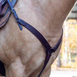 Velociti Shaped Breastcollar in dark oil