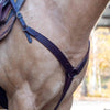Velociti Shaped Breastcollar in dark oil
