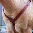 Velociti Shaped Breastcollar in light oil