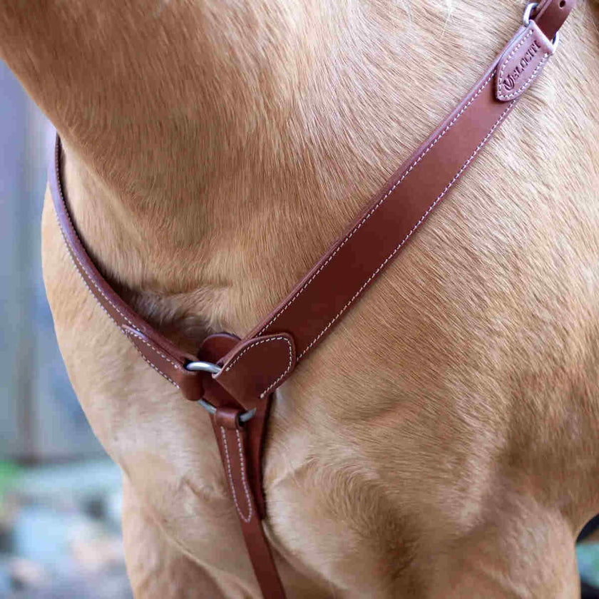 Velociti Shaped Breastcollar in light oil
